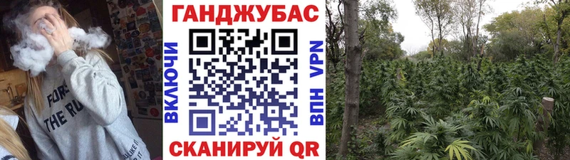 где купить   Зеленокумск  blacksprut   МАРИХУАНА ГИДРОПОН 